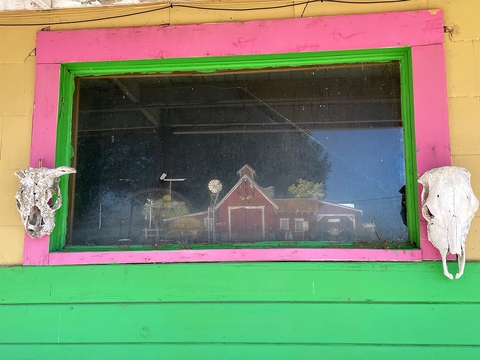 Pink Window With Skulls: McDermitt, Nevada by Roger Camp