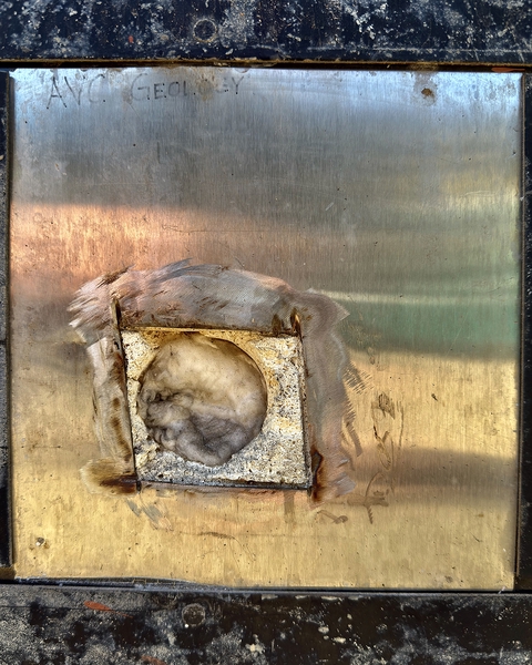 The Inner Workings Exposed by Matthew Fertel